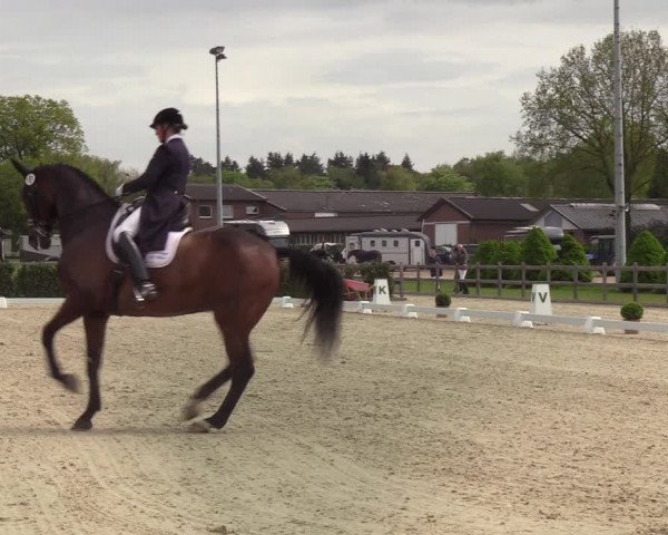 Reitturnier Elmshorn 2021