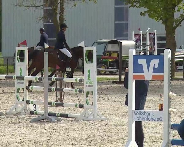 Reitturnier Rot am See- Musdorf 2021
