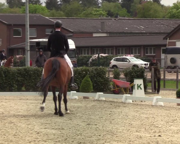 Reitturnier Elmshorn 2021