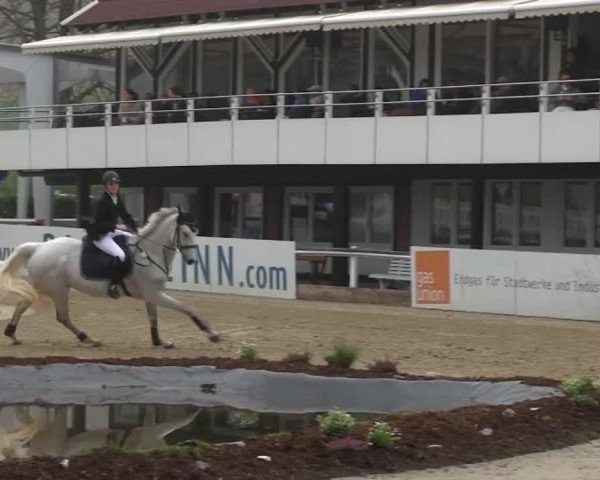 jumper Christrose (Westphalian, 1996, from Capitalist)