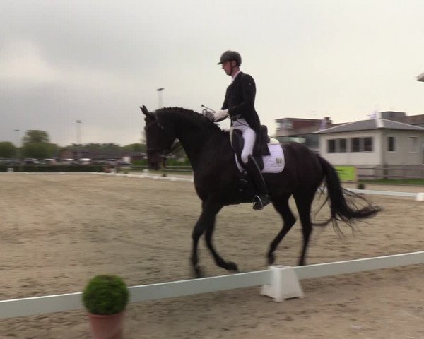 Reitturnier Elmshorn 2021