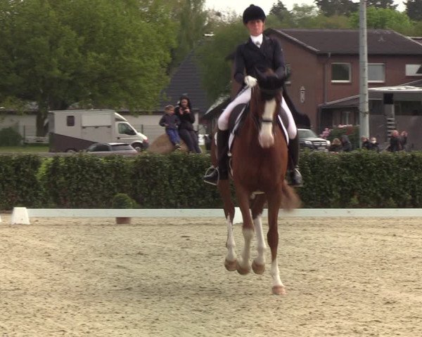 Reitturnier Elmshorn 2021