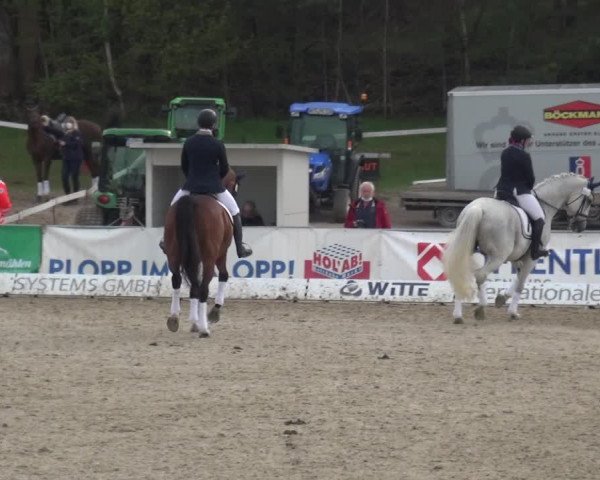 Reitturnier Rastede-Nethen 2021