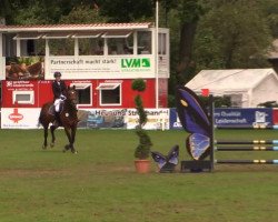 Springpferd Harry Boo 2 (Westfale, 2004, von Holland)