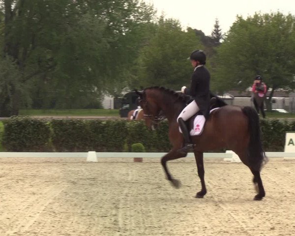 Reitturnier Elmshorn 2021