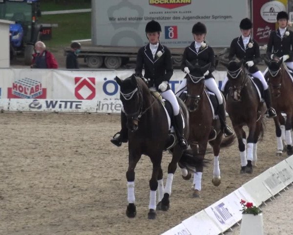 Reitturnier Rastede-Nethen 2021