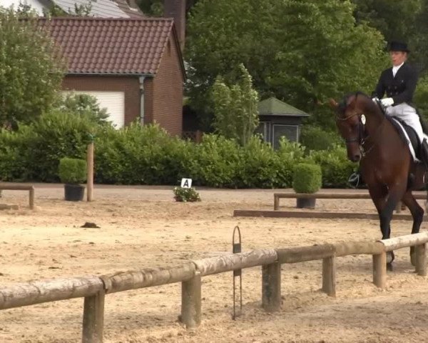 Dressurpferd Lucky Time (Westfale, 1999, von Laurentianer)