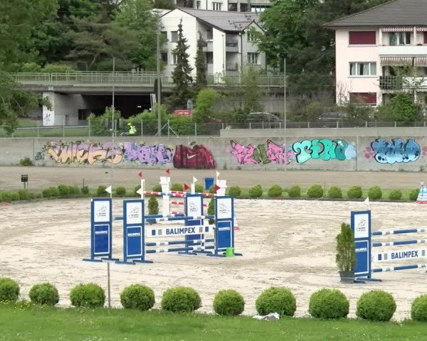 Reitturnier Basel Schänzli 2021