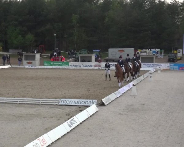Reitturnier Rastede-Nethen 2021