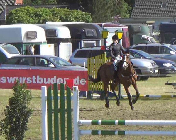 jumper L-Elle (Westphalian, 1997, from Lados 102 FIN)