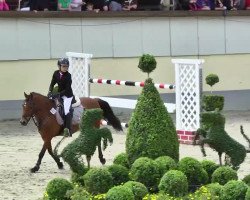 jumper Rivaldi 2 (German Riding Pony, 2002, from Oosteinds Ricky)