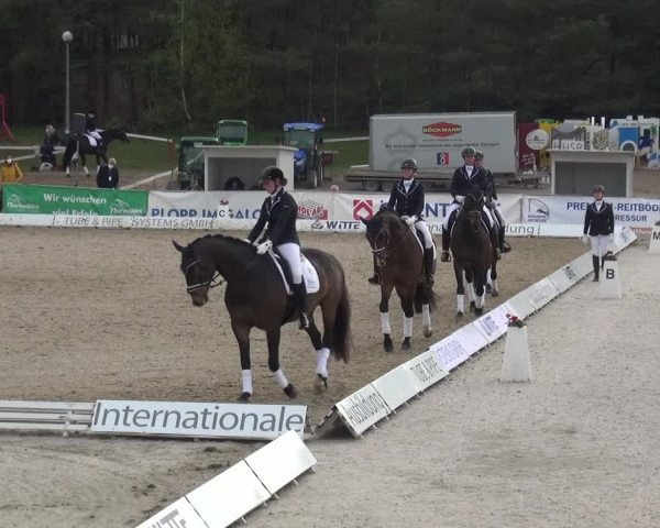 Reitturnier Rastede-Nethen 2021