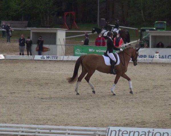 Reitturnier Rastede-Nethen 2021