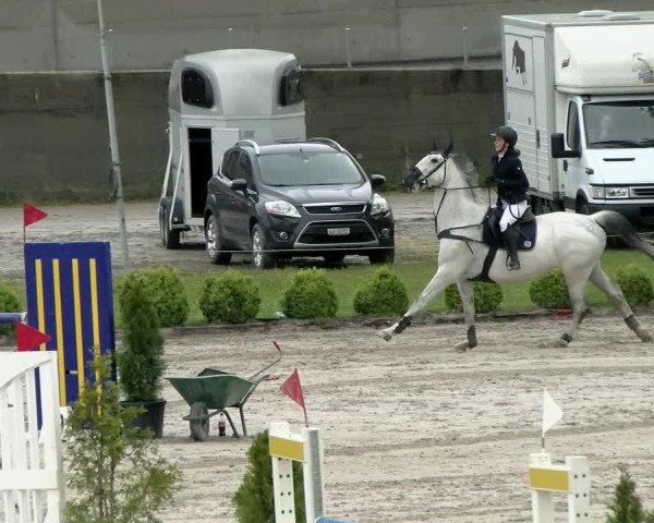 Reitturnier Basel Schänzli 2021
