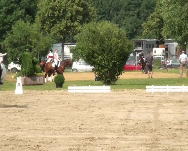 dressage horse Paganini 144 (Rhinelander, 2000, from Pik Labionics)