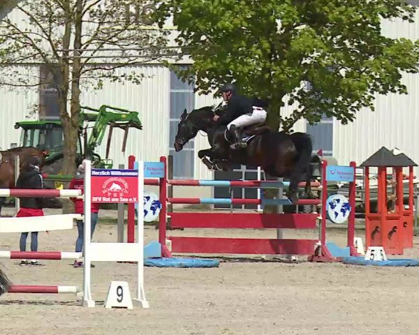 Reitturnier Rot am See- Musdorf 2021