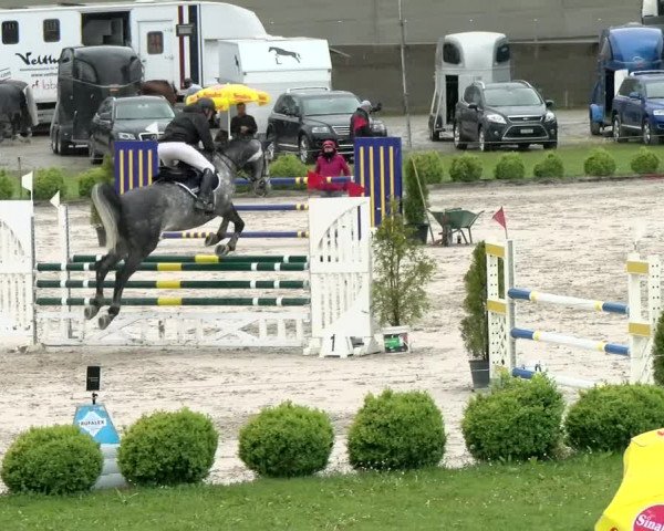Reitturnier Basel Schänzli 2021