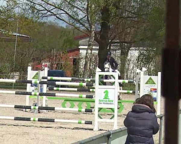 Reitturnier Rot am See- Musdorf 2021
