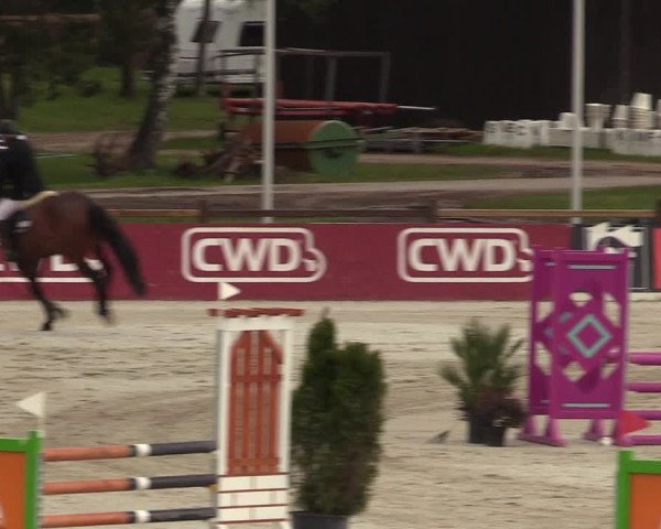 Reitturnier Westergellersen 2021