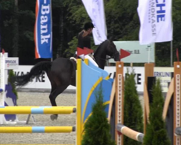 dressage horse Las Luca (Oldenburg, 2002, from Lady's King)