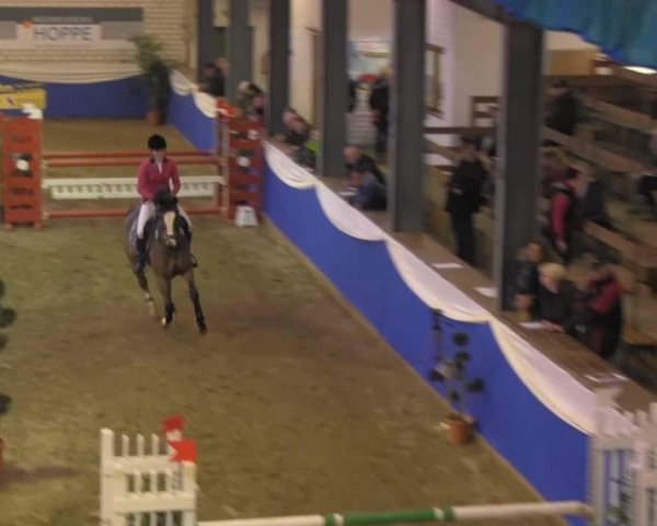 jumper Adagio 98 (Oldenburg, 2004, from Ars Vivendi)
