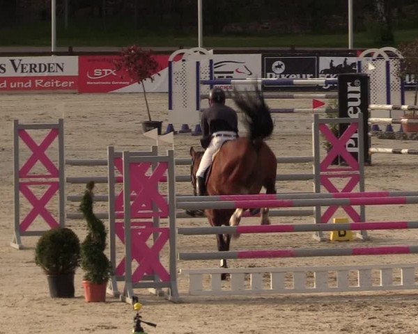 Reitturnier Westergellersen 2021