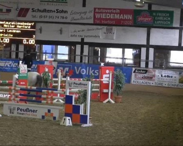 jumper Adrielle 2 (Hanoverian, 2005, from Adlantus As FRH)