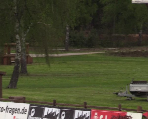 Reitturnier Westergellersen 2021