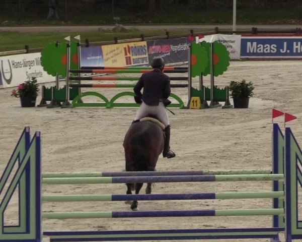 Reitturnier Westergellersen 2021