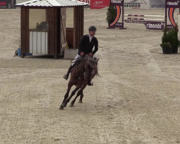Reitturnier Westergellersen 2021