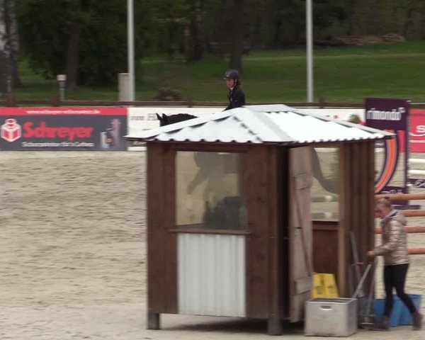 Reitturnier Westergellersen 2021