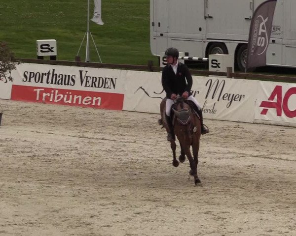 Reitturnier Westergellersen 2021
