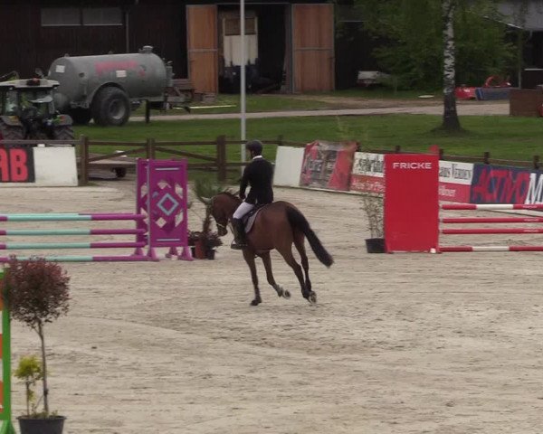 Reitturnier Westergellersen 2021