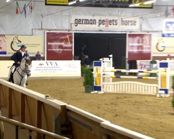 jumper Charlston (Hanoverian, 2004, from Come On)