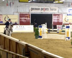 jumper Charlston (Hanoverian, 2004, from Come On)