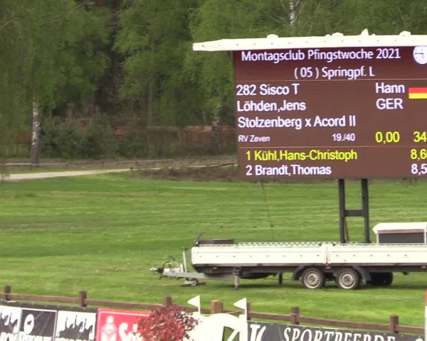 Reitturnier Westergellersen 2021