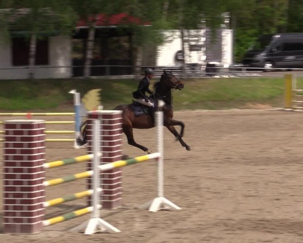 Reitturnier Lgl.-Oberhain, B95 2021
