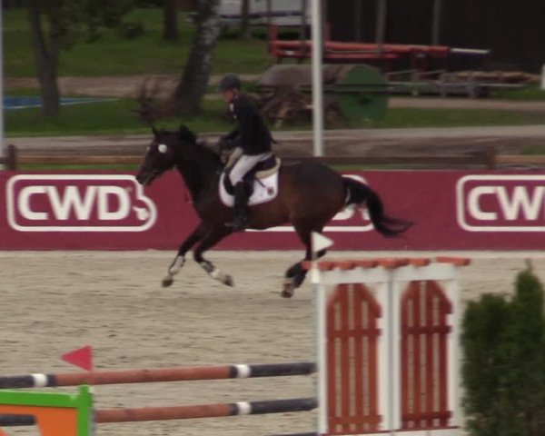 Reitturnier Westergellersen 2021