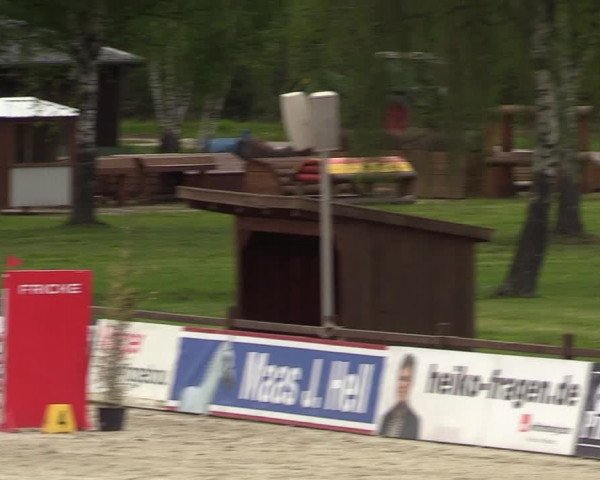 Reitturnier Westergellersen 2021