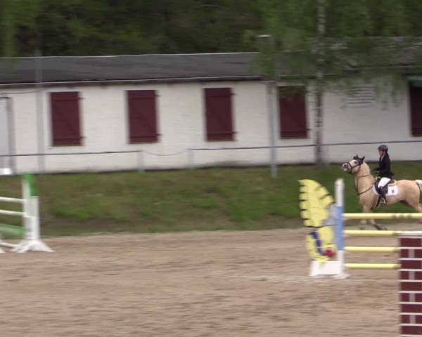 Reitturnier Lgl.-Oberhain, B95 2021