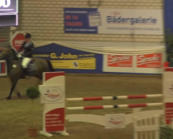 Zuchtstute Heika (Oldenburger, 1998, von Lordanos)