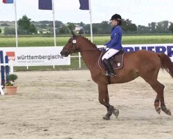 jumper Abraxas 126 (Hanoverian, 2001, from Acord II)