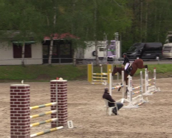 Reitturnier Lgl.-Oberhain, B95 2021