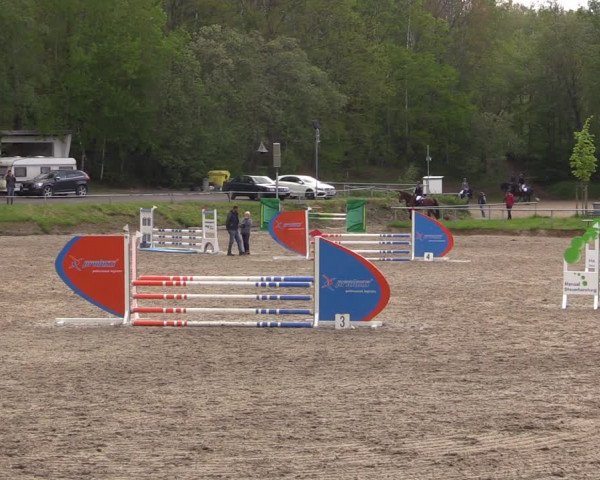 Reitturnier Lgl.-Oberhain, B95 2021