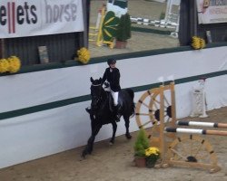 jumper Action In Black 2 (Oldenburg show jumper, 2003, from Acobat II)