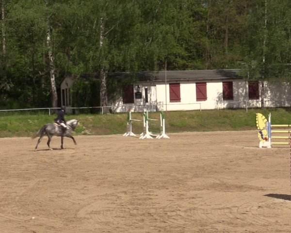 Reitturnier Lgl.-Oberhain, B95 2021