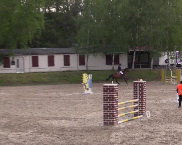 Reitturnier Lgl.-Oberhain, B95 2021
