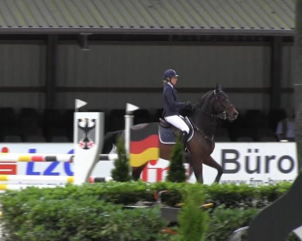 jumper Rickolt (Hanoverian, 1999, from Ragazzo)