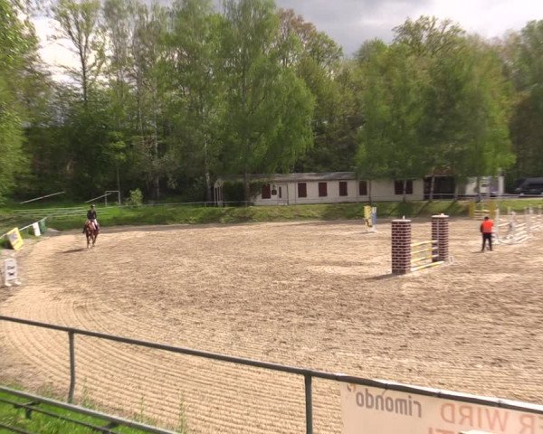 Reitturnier Lgl.-Oberhain, B95 2021