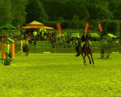 jumper Ricon (Westphalian, 2003, from Rolls Royce)